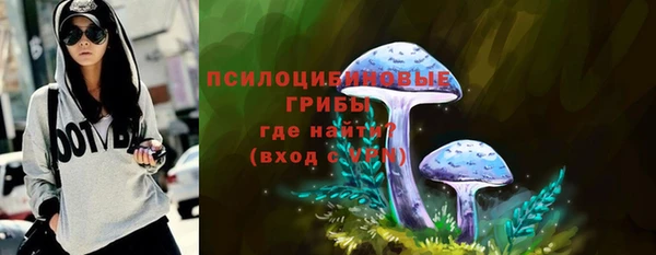 трава Беломорск