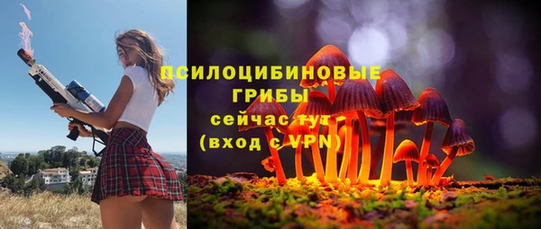 трава Беломорск