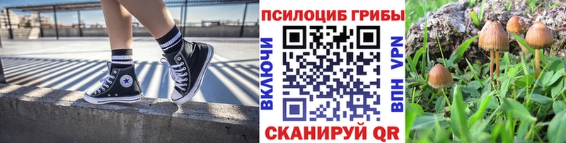 Псилоцибиновые грибы GOLDEN TEACHER Томск